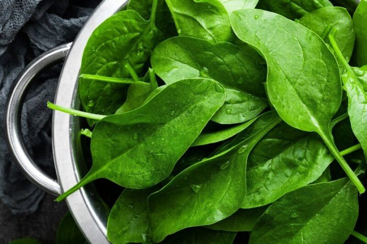 17 Surprising Spinach Nutrition Facts & Health Benefits; Fresh spinach leaves