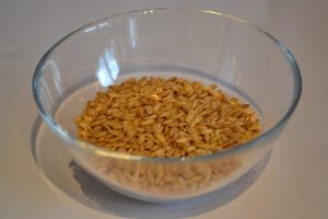 Oat Groats/Whole Oat Groats/Whole Oats/Raw Oats: Green Thickies