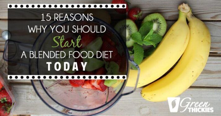 15 Reasons Why You Should Start a Blended Food Diet Today