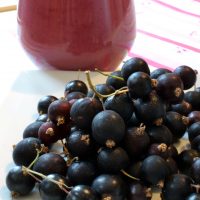 Vanilla and Blackcurrant Smoothie