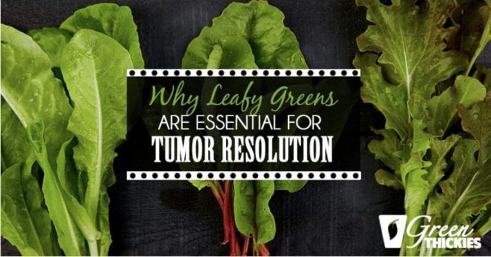 Leafy Greens Essential for Immune Regulation and Tumor Resolution