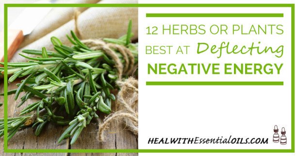 12 Herbs or Plants Best At Deflecting Negative Energy