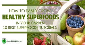 How to easily grow healthy superfoods in your garden