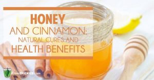 honey and cinnamon natural cures and health benefits