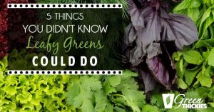 5 Things You Didn’t Know Leafy Greens Could Do