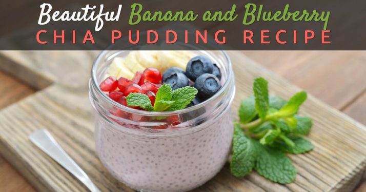 Beautiful Banana and Blueberry Chia Pudding Recipe (FB Ads)
