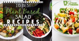 10 Best Plant Based Salad Recipes