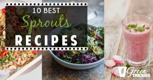 10 Best Sprouts Recipes