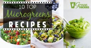 10 Top Microgreens Recipes