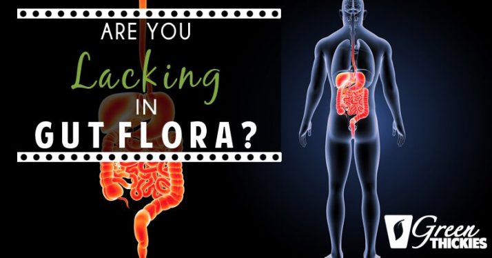 Are You Lacking In Gut Flora?