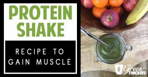 High Protein Shake Recipe Without Protein Powder