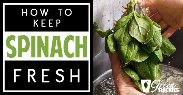 How To Store Spinach To Keep It Fresh - 5 Genius Hacks 
