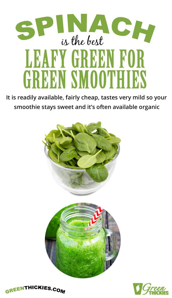 Speedy Spinach & Banana Smoothie (2 Ingredients, Vegan, Tasty); Spinach best leafy green for green smoothies infographic