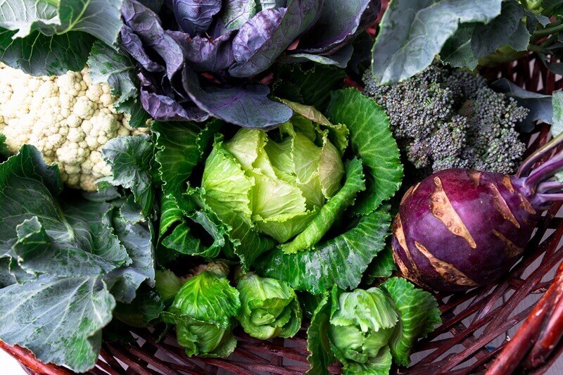 34 High Protein Vegetables You Probably Already Eat; Various of Cabbage Broccoli Cauliflower