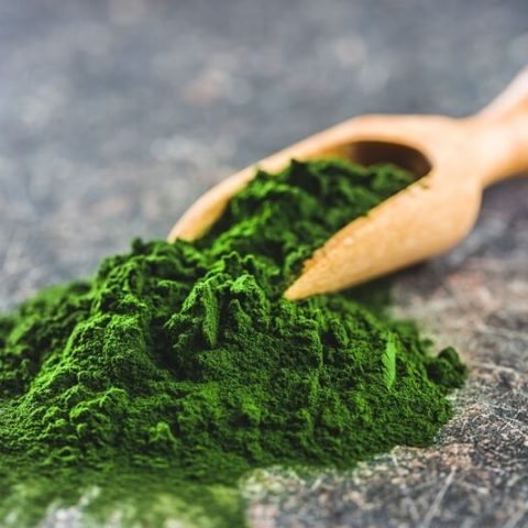 green-chlorella-powder-in-wooden-scoop