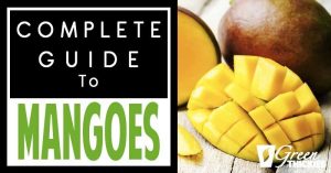 Complete Guide To Mangos: Facts, Benefits, Tutorials, Recipes & Videos