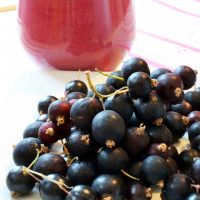 Vanilla and Blackcurrant Smoothie