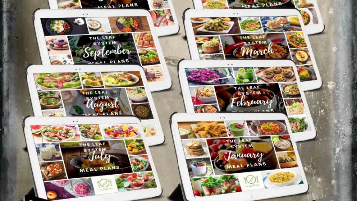 The Leaf System Bundle With Background