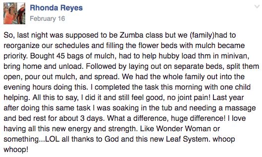 The Leaf System Testimonial 4 The Leaf System Testimonial 4