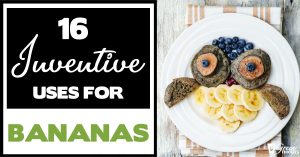 16 Inventive Uses For Bananas (Genius!)